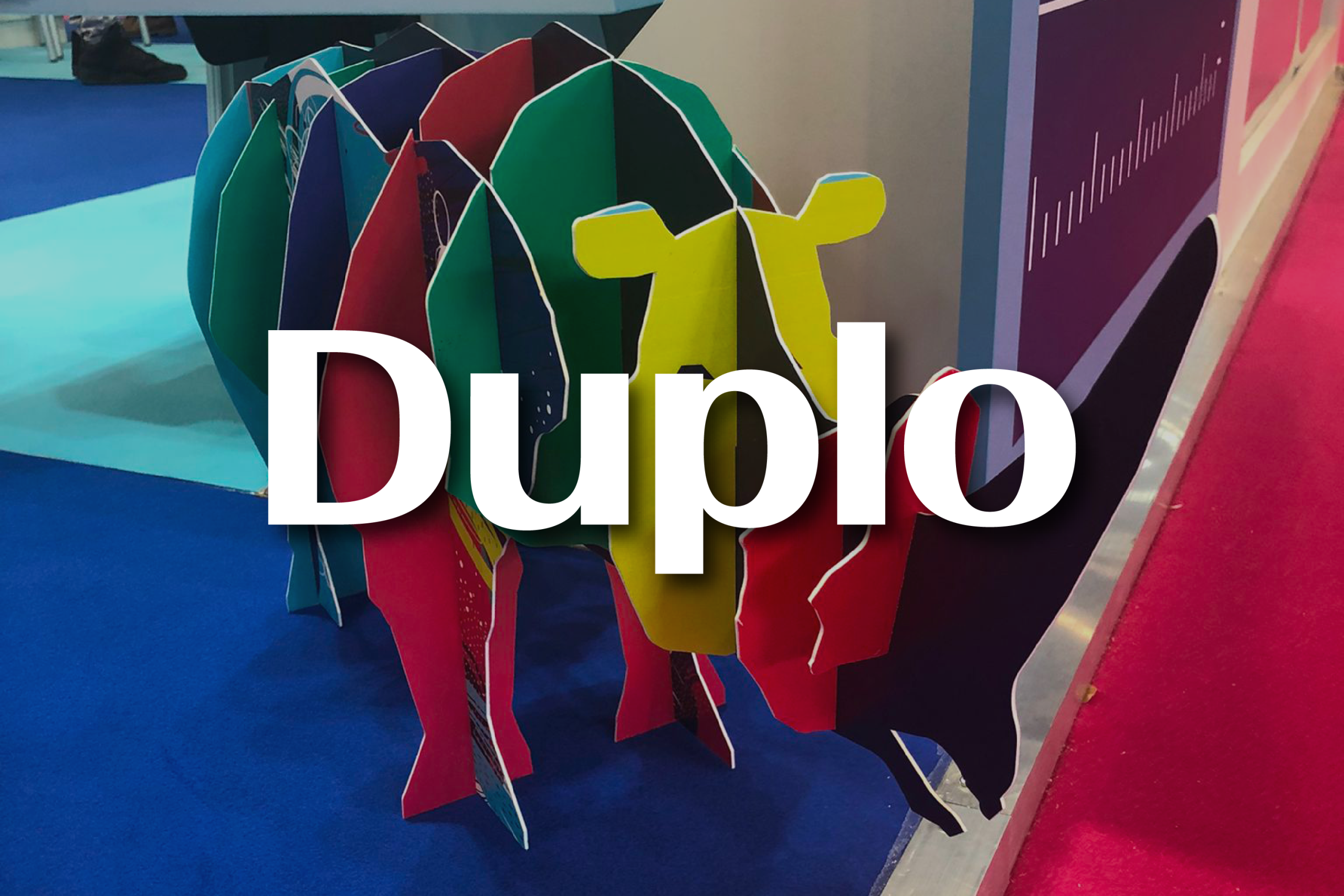 Projet Duplo France